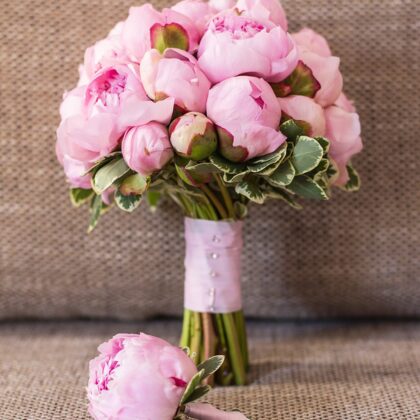 Tea Rose